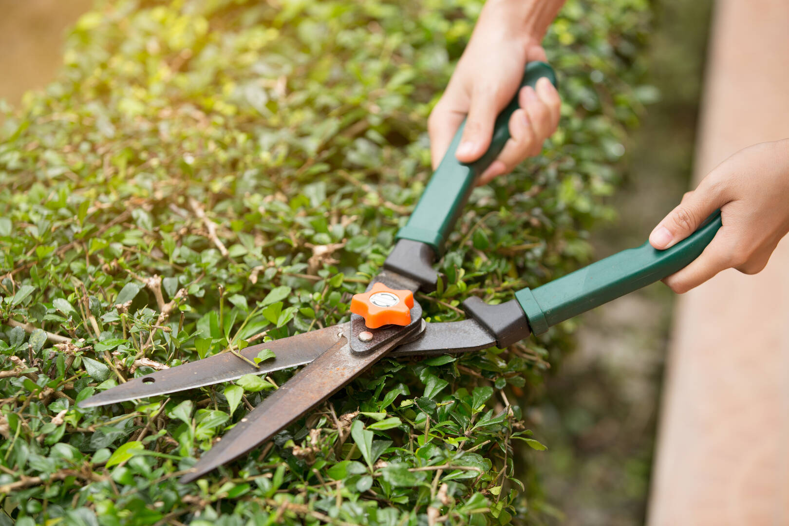 Lawn Brigade