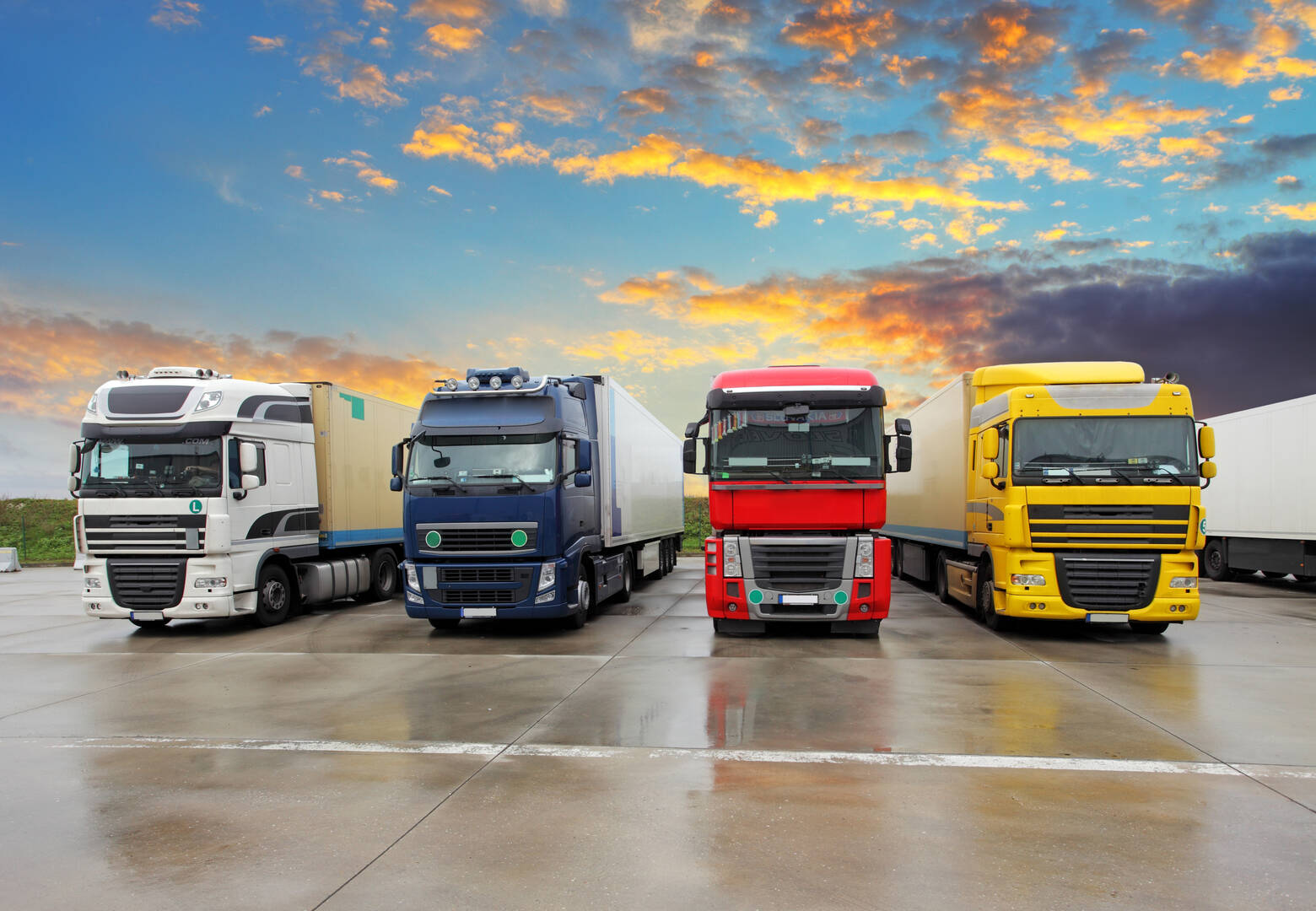 Tim Farragher Removals Pty Ltd logo