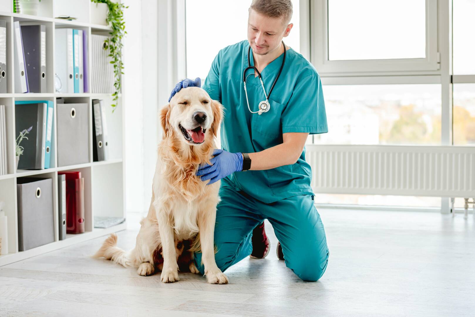 1st Pet Veterinary Centers