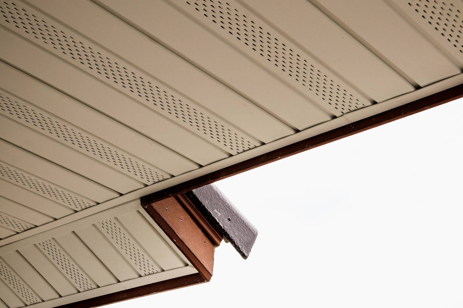 Alpha Roofing Services